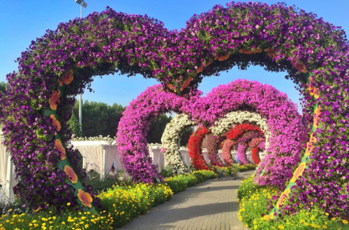 Miracle Garden With Marina Cruise Dinner