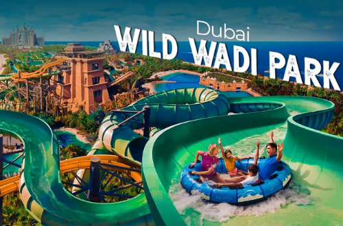 Wild Wadi Water Theme Park